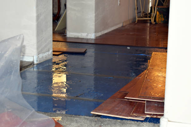 Professional Burst Pipe Cleanup technician working in Minden City, MI