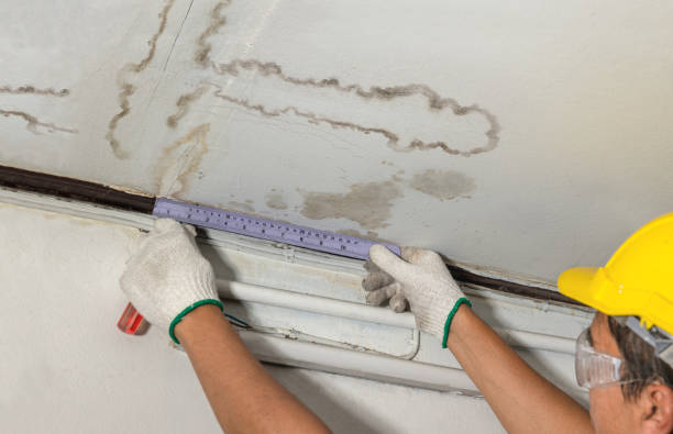 Reliable Burst Pipe Cleanup contractor in Minden City, MI by Water Damage Irwin